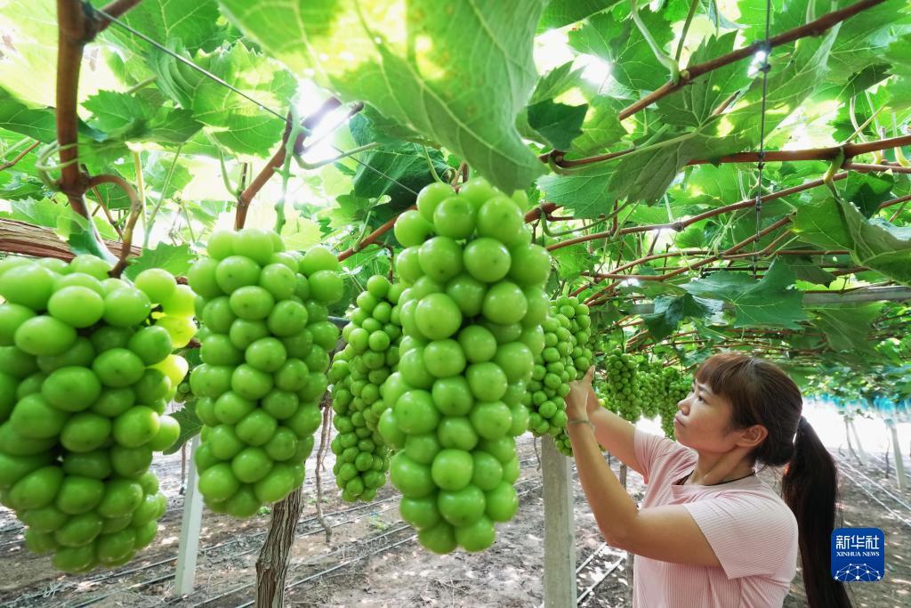 威尼斯娱乐人城